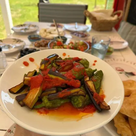 بيت ضيافة Berguezar Hanim